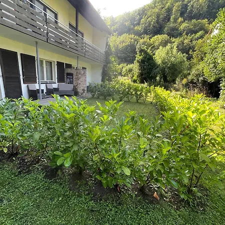 Adler Stube 4* Muenstertal