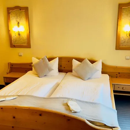 Hotel Adler Stube 4*