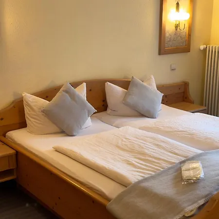 Hotel Adler Stube 4*