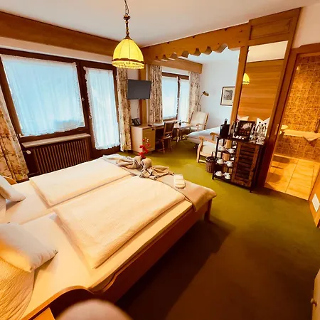 Hotel Adler Stube 4*