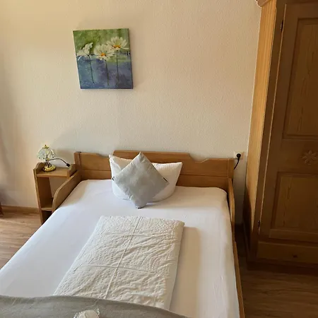 Hotel Adler Stube