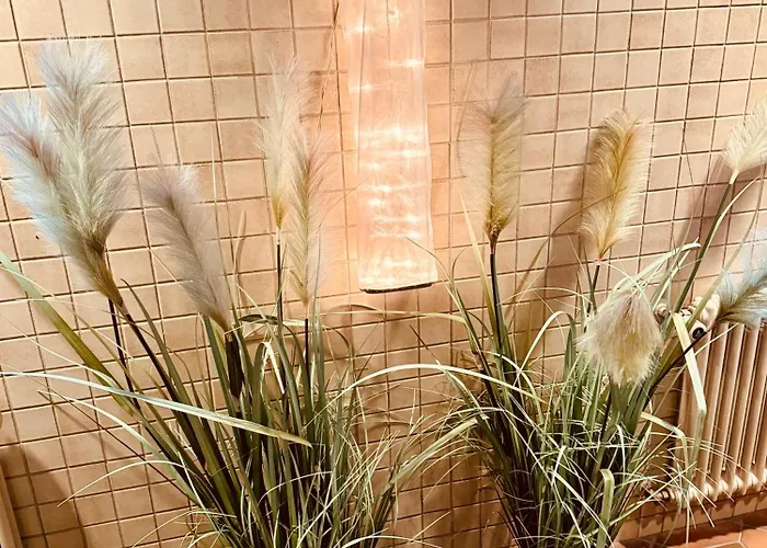 Restaurant Adler Stube 酒店