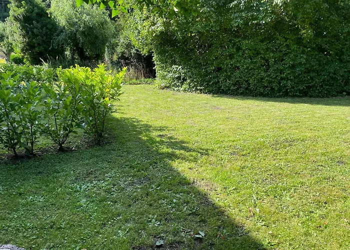 Ξενοδοχείο Restaurant Adler Stube Münstertal