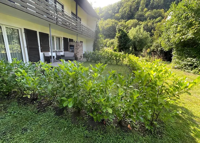 Restaurant Adler Stube 4* Münstertal